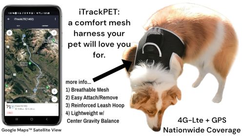 Waterproof Tracking Collars for Hunting Dogs Realtime GPS Pet Tracker Size:M Waterproof Tracking Collars for Hunting Dogs Realtime GPS Pet Tracker Size:M